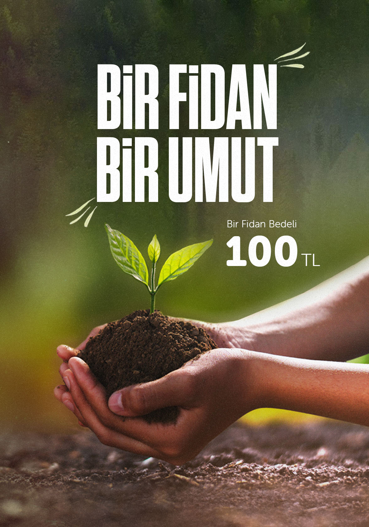 Bir Fidan Bir Umut