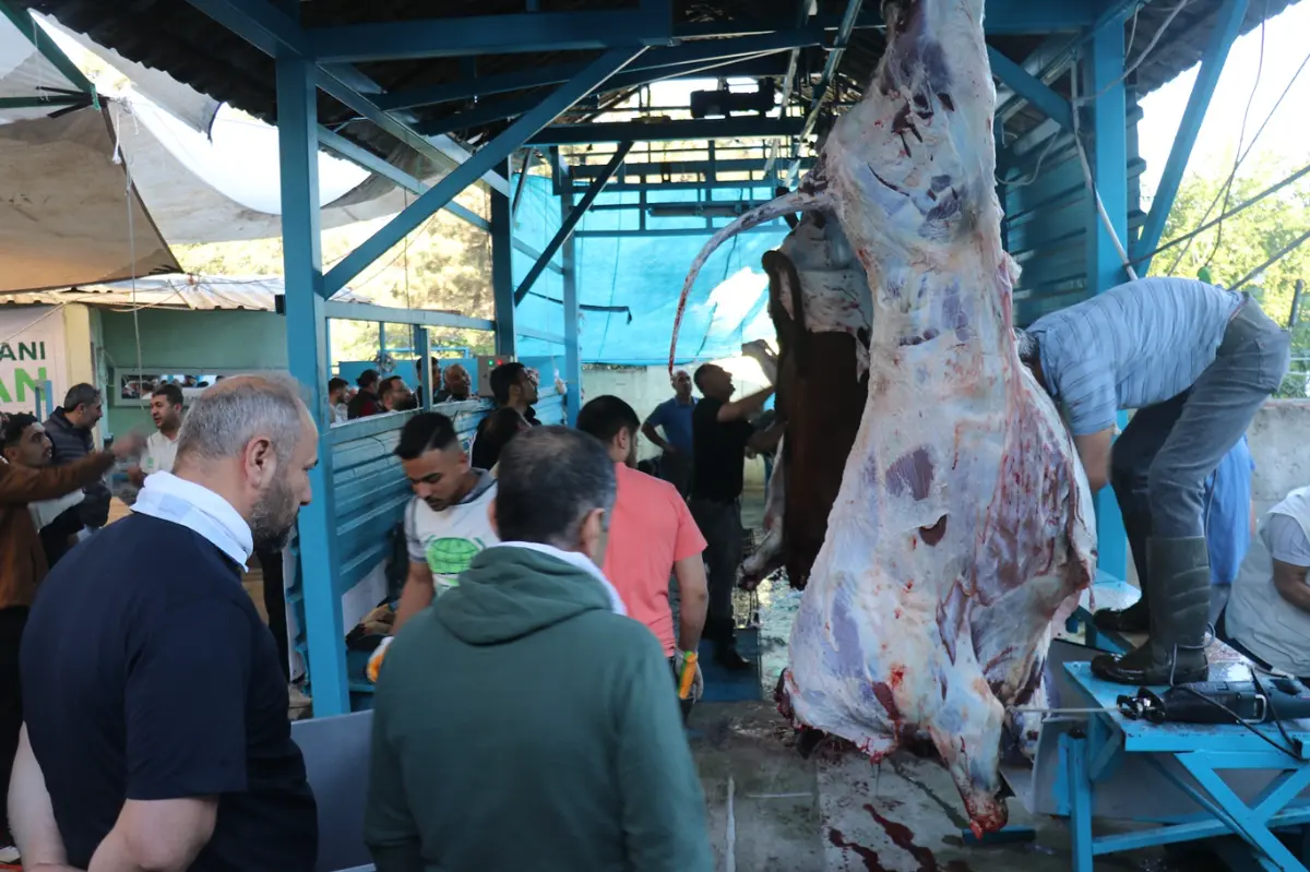 Umut Kervanı İstanbul'da yüzlerce kurban vekâletini yerine getirdi galeri görseli 13