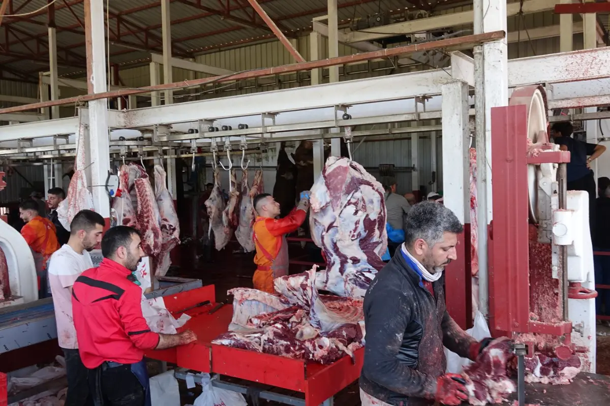 Umut Kervanı’ndan kurban organizasyonu: Yüzlerce ihtiyaç sahibine et yardımı galeri görseli 2
